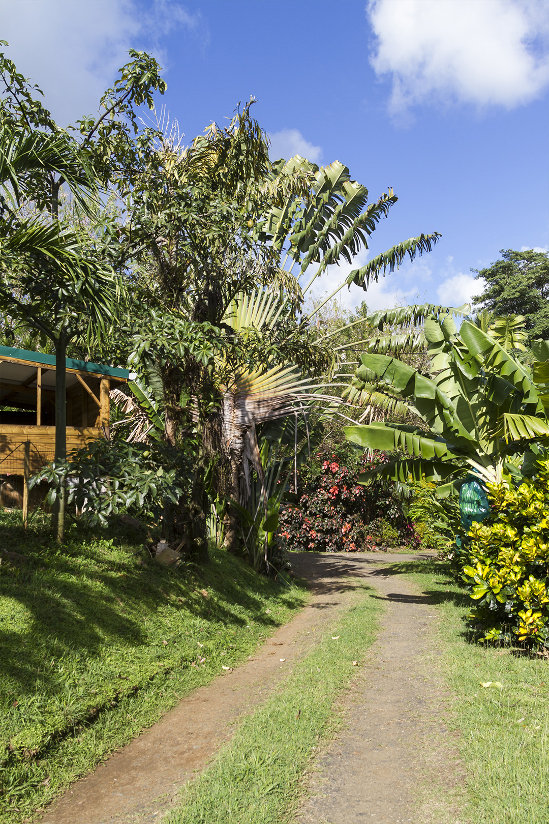 location gite martinique bord de mer : À votre service depuis 1992